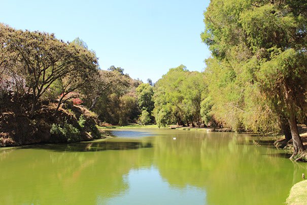 Paisaje y pequeño lago en Rancho San Diego, Ixtapan de la Sal